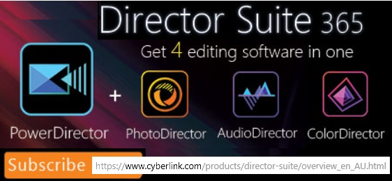 Director Suite 365